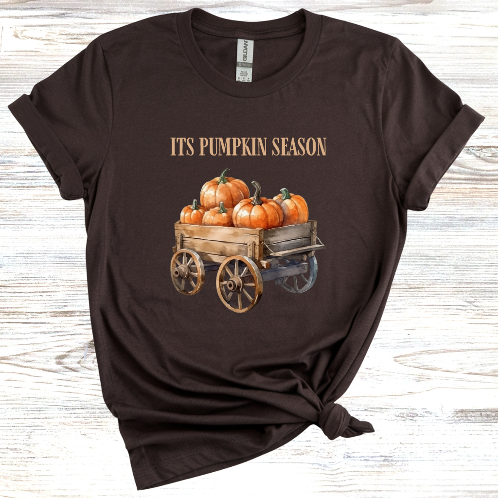It's Pumpkin Season T-Shirt