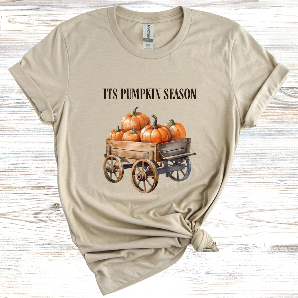It's Pumpkin Season T-Shirt
