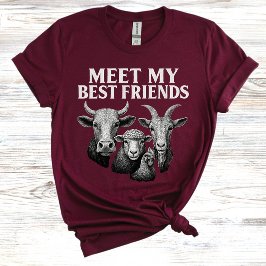 Meet My Best Friends Farm T-Shirt